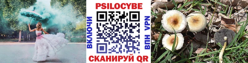 Галлюциногенные грибы прущие грибы Зерноград