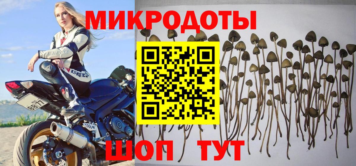 Галлюциногенные грибы Magic Shrooms  Галлюциногенные грибы мухоморы  Зерноград  Вход с VPN 