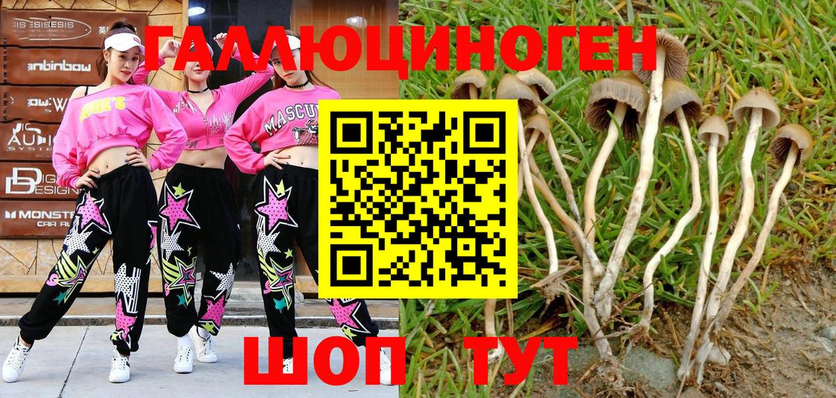 Галлюциногенные грибы мухоморы Зерноград