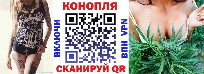 Каннабис гибрид Зерноград