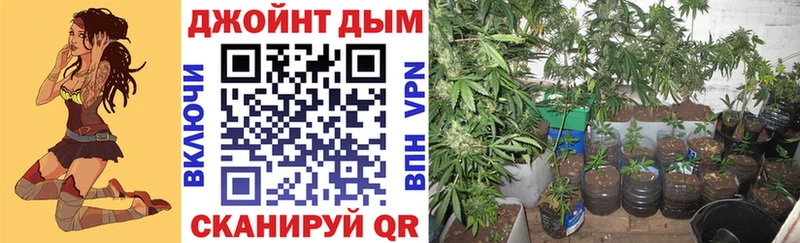 Бошки Шишки AK-47 закладки Зерноград